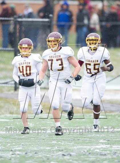 Thumbnail 2 in Wayland vs. Sharon (MIAA Division 3 East Final) photogallery.