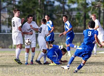 Thumbnail 2 in Armwood vs. Tampa Prep   photogallery.