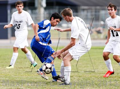 Thumbnail 3 in Armwood vs. Tampa Prep   photogallery.
