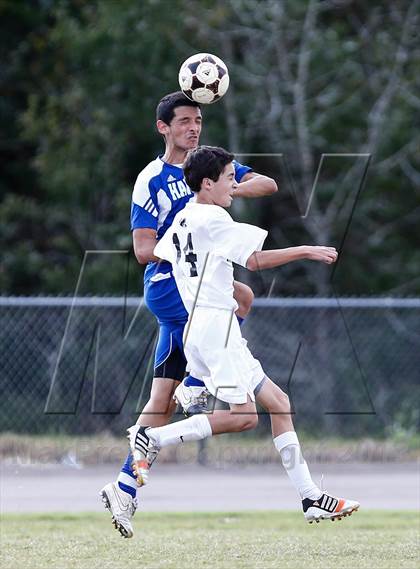 Thumbnail 3 in Armwood vs. Tampa Prep   photogallery.