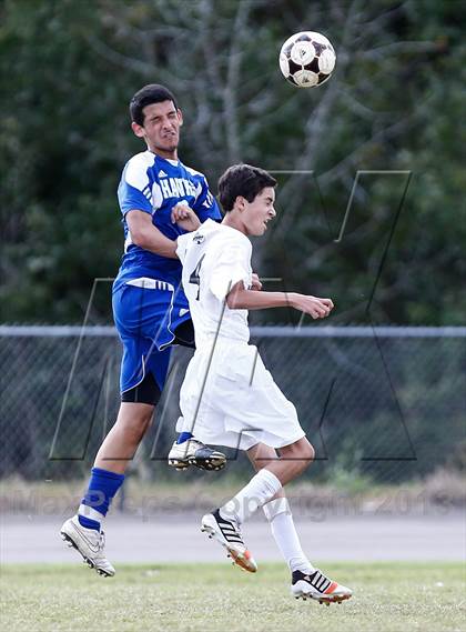 Thumbnail 1 in Armwood vs. Tampa Prep   photogallery.