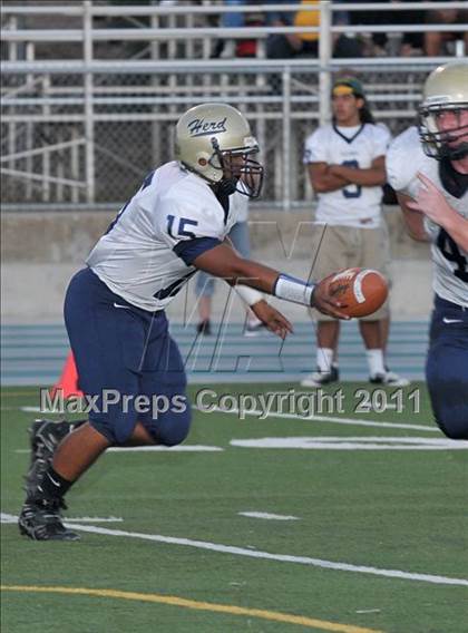 Thumbnail 3 in Elk Grove @ Ponderosa photogallery.