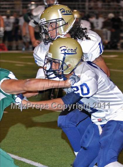 Thumbnail 2 in Elk Grove @ Ponderosa photogallery.