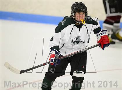 Thumbnail 1 in Milford @ Guilford photogallery.