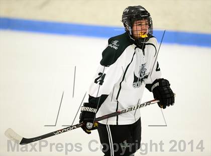 Thumbnail 1 in Milford @ Guilford photogallery.