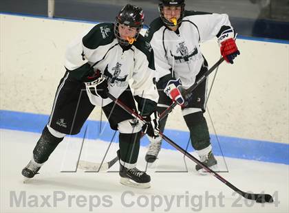 Thumbnail 2 in Milford @ Guilford photogallery.