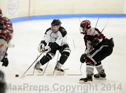Thumbnail 3 in Milford @ Guilford photogallery.