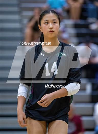 null - Photo 21