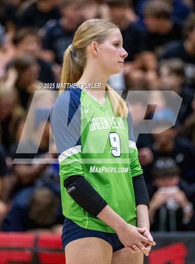 null - Photo 41