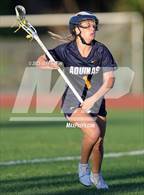 Photo from the gallery "St. Thomas Aquinas @ Saint Andrew's"