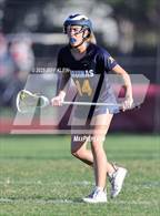 Photo from the gallery "St. Thomas Aquinas @ Saint Andrew's"