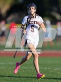 Photo from the gallery "St. Thomas Aquinas @ Saint Andrew's"