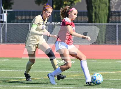 Thumbnail 3 in Salinas vs. Sacred Heart Prep (CIF CCS D4 Final) photogallery.
