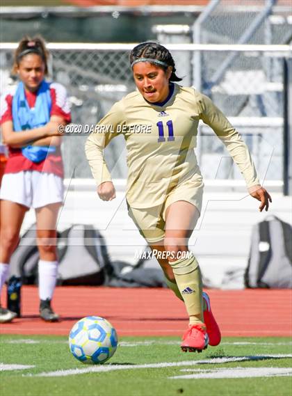 Thumbnail 3 in Salinas vs. Sacred Heart Prep (CIF CCS D4 Final) photogallery.