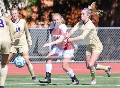 Thumbnail 3 in Salinas vs. Sacred Heart Prep (CIF CCS D4 Final) photogallery.