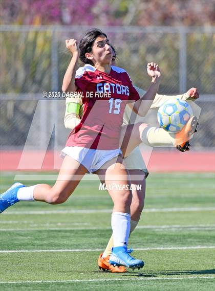 Thumbnail 3 in Salinas vs. Sacred Heart Prep (CIF CCS D4 Final) photogallery.