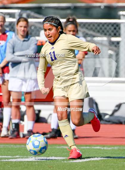 Thumbnail 2 in Salinas vs. Sacred Heart Prep (CIF CCS D4 Final) photogallery.