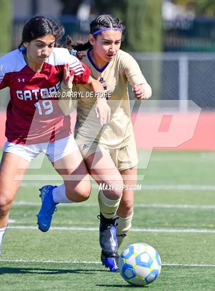 Thumbnail 2 in Salinas vs. Sacred Heart Prep (CIF CCS D4 Final) photogallery.