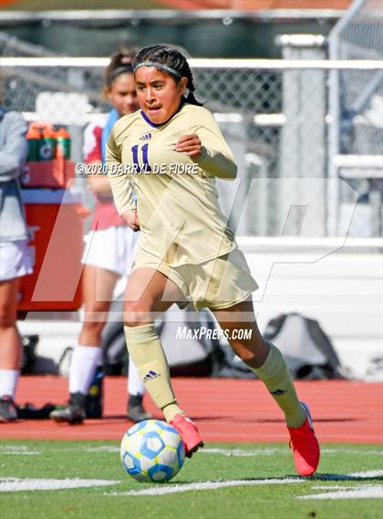 Thumbnail 1 in Salinas vs. Sacred Heart Prep (CIF CCS D4 Final) photogallery.