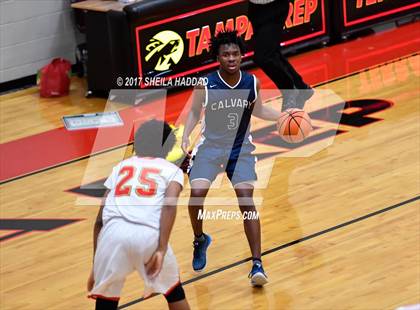 Thumbnail 2 in Calvary Christian @ Tampa Prep photogallery.