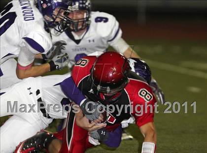 Thumbnail 1 in Shasta @ Foothill photogallery.