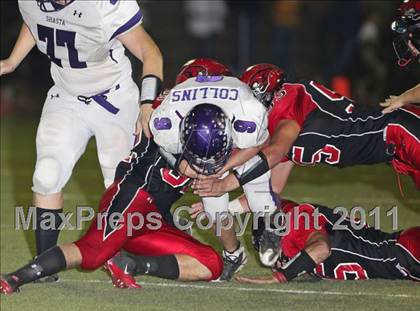 Thumbnail 2 in Shasta @ Foothill photogallery.
