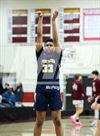 Photo from the gallery "Pine Bush @ Kingston"