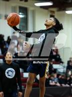 Photo from the gallery "Pine Bush @ Kingston"