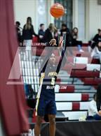 Photo from the gallery "Pine Bush @ Kingston"