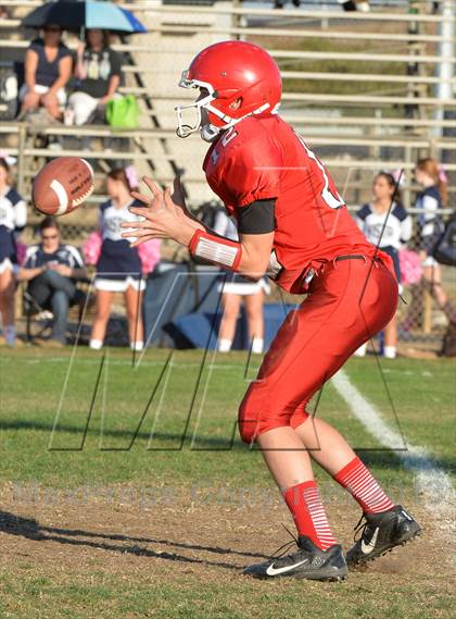 Thumbnail 1 in Vista del Lago @ Galt photogallery.