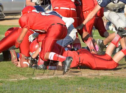 Thumbnail 3 in Vista del Lago @ Galt photogallery.