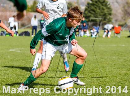 Thumbnail 2 in Hillcrest @ Cottonwood photogallery.