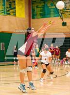 Photo from the gallery "Laguna Creek @ Kennedy"