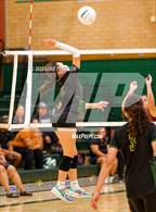 Photo from the gallery "Laguna Creek @ Kennedy"