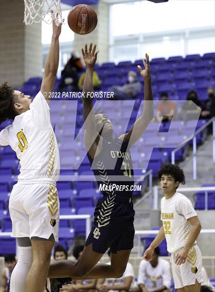 Thumbnail 1 in O'Connor vs. Brennan photogallery.