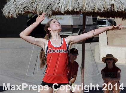 Thumbnail 3 in North Pointe @ Coconino  (AIA D1 Playoff) photogallery.