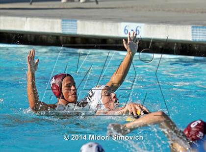 Thumbnail 3 in El Camino @ Rancho Buena Vista photogallery.