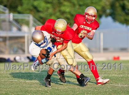 Thumbnail 2 in Clovis @ Centennial photogallery.
