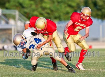 Thumbnail 3 in Clovis @ Centennial photogallery.