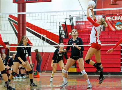 Thumbnail 3 in Paloma Valley @ Elsinore photogallery.