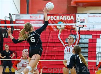 Thumbnail 3 in Paloma Valley @ Elsinore photogallery.