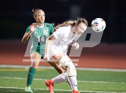 Thumbnail 2 in Petaluma vs. Castro Valley (CIF NCS Division 3 Semifinals) photogallery.