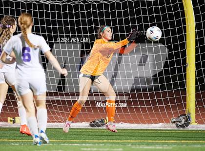 Thumbnail 1 in Petaluma vs. Castro Valley (CIF NCS Division 3 Semifinals) photogallery.