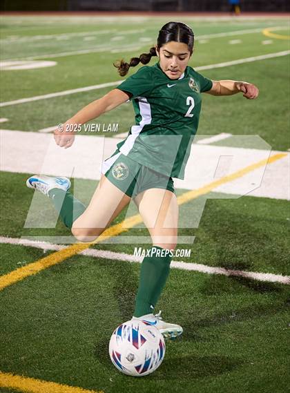 Thumbnail 1 in Petaluma vs. Castro Valley (CIF NCS Division 3 Semifinals) photogallery.