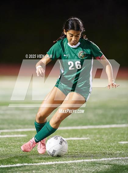 Thumbnail 2 in Petaluma vs. Castro Valley (CIF NCS Division 3 Semifinals) photogallery.