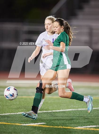 Thumbnail 3 in Petaluma vs. Castro Valley (CIF NCS Division 3 Semifinals) photogallery.