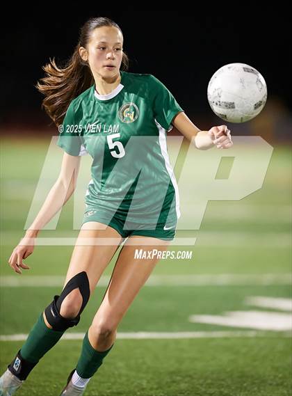 Thumbnail 3 in Petaluma vs. Castro Valley (CIF NCS Division 3 Semifinals) photogallery.