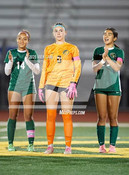 Thumbnail 2 in Petaluma vs. Castro Valley (CIF NCS Division 3 Semifinals) photogallery.