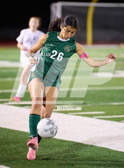 Thumbnail 3 in Petaluma vs. Castro Valley (CIF NCS Division 3 Semifinals) photogallery.