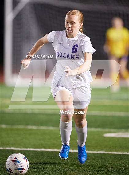 Thumbnail 1 in Petaluma vs. Castro Valley (CIF NCS Division 3 Semifinals) photogallery.
